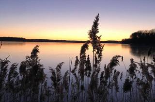 Grundstück zu kaufen in 23701 Eutin, Baugrundstück in Seenähe