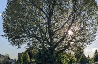Grundstück zu kaufen in Zum Waldsee 10, 39114 Berliner Chaussee, Baugrundstück in Magdeburg - Provisionsfrei - kein Bauträger – 1.412 m² Ruhe, Natur & Stadtnähe
