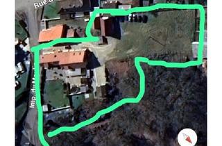 Einfamilienhaus kaufen in 76779 Scheibenhardt, Scheibenhardt - Haus mit großen Grundstück zu verkaufen