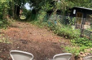 Haus kaufen in 66620 Nonnweiler, Nonnweiler - Haus in Kastel Nonnweiler