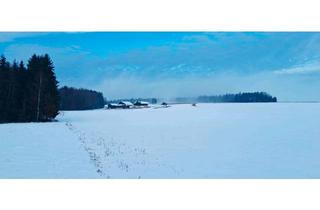 Bauernhaus kaufen in 84385 Egglham, Egglham - Hof in einzigartiger Alleinlage zu verkaufen