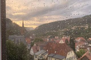 Wohnung mieten in 75365 Calw, 4-Zimmer Wohnung in Calw mit ca. 100 m² Wohnfläche