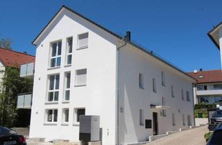 Wohnung mieten in Margeritenstraße, 71272 Renningen, Hochwertige 4,5-Zimmer-DG-Wohnung mit 2 Balkonen in Malmsheim