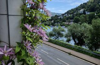 Wohnung mieten in 69118 Ziegelhausen, Wohnen direkt am Neckar - moderne 2,5 ZKB Wohnung mit traumhafter Aussicht in HD-Ziegelhausen