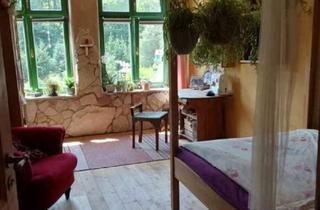 Einfamilienhaus kaufen in 96515 Sonneberg, Seltene Gelegenheit: Historisches Einfamilienhaus mit 1,8 Hektar Grundstück in Sonneberg