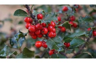 Haus kaufen in 09232 Hartmannsdorf, Neues Jahr. Neuer Platz für Ihr Leben.