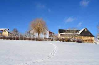 Mehrfamilienhaus kaufen in Hetzendorf, 91282 Betzenstein, Modernisiertes Mehrfamilienhaus mit Nebengebäuden in idyllischer Lage mit 4,3 h großem Anwesen