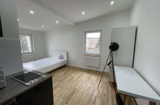 Wohnung mieten in Leimitzer Straße 22, 95028 Innenstadt, luxuriöses 1-Zimmer-Küche-Bad-Apartment in Hof Innenstadt neu renoviert - all inclusive