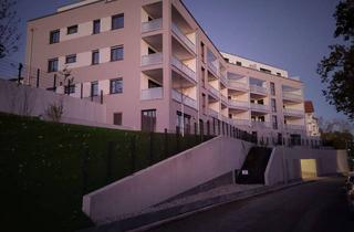 Wohnung mieten in Weinbergstraße 66, 73262 Reichenbach, Helle 2-Zimmer Wohnung in Reichenbach an der Fils