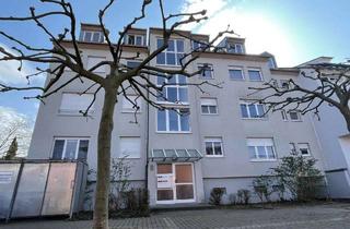 Wohnung mieten in 64823 Groß-Umstadt, 3 Zimmer DG-Wohnung mit Einbauküche, Dachterrasse