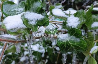 Grundstück zu kaufen in 12683 Berlin, Schönes Baugrundstück in Berlin Biesdorf-Süd zu verkaufen