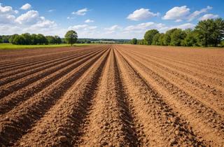 Grundstück zu kaufen in Rübenacher Forstweg, 56072 Rübenach, Versteigerung 04.03.2026 Erwartete Gewerbefläche Industriepark A61 3. Teilabschnitt