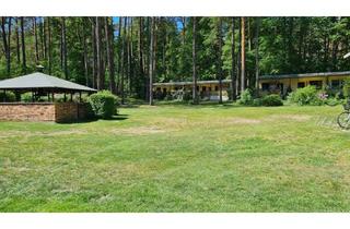 Grundstück zu kaufen in 16727 Velten, Mit Ihren Pferden im Paradis auf 17.484 m² am Werbellinsee Leben