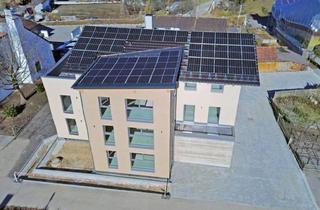 Wohnung mieten in 84109 Wörth, Moderne 2-Zimmerwohnung, 50 qm, Neubau mit EBK - Barrierefrei - Erstbezug