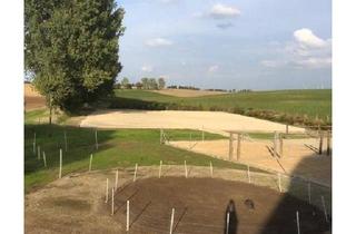 Mehrfamilienhaus kaufen in 01683 Nossen, Nossen - Pferdehaltung, Mehrfamilienhaus, Wohngemeinschaft