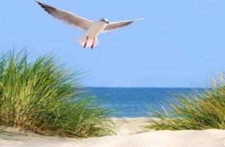 Haus kaufen in 24969 Großenwiehe, Großenwiehe - EXKLUSIVES und modernes Wohnen zwischen der Nord&Ostsee.