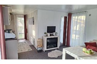 Haus kaufen in 93173 Wenzenbach, Wenzenbach - Modernes Mobilheim Joli Natur 1 - neuwertig