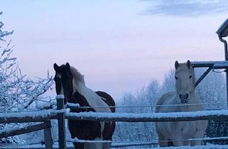 Haus kaufen in 19386 Lübz, Lübz - Haus mit Pferdehaltung