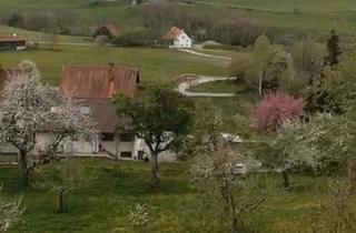 Wohnung kaufen in 88364 Wolfegg, Wolfegg - Barrierefreie 1,5 Zimmer Wohnung inkl. Pflegedienst in Wolfegg