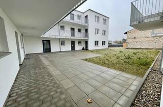 Wohnung kaufen in Wiesenstraße 31, 76661 Philippsburg, Barrierefreie 2-Zimmer-Wohnung mit großer Terrasse!