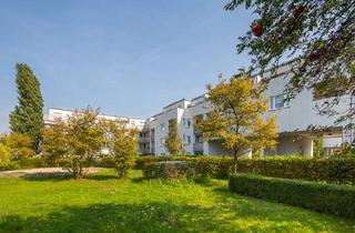 Wohnung mieten in Mirastr., 12529 Schönefeld, schöne 2-Zimmer-Wohnung mit großem Balkon und neuer Einbauküche