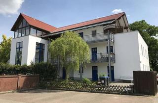 Wohnung mieten in Am Stadtpark, 19258 Boizenburg, 2-Zimmer Wohnung I Wohnen mit Service möglich (WE 13)