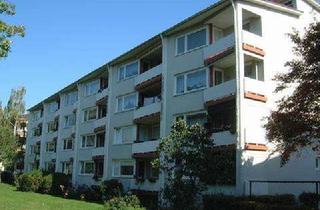 Wohnung mieten in Nansenstr., 90439 Sündersbühl, Großzügige Vierzimmer Wohnung im Hochparterre mit Balkon – Zeitmietvertrag bis 31.08.2028!