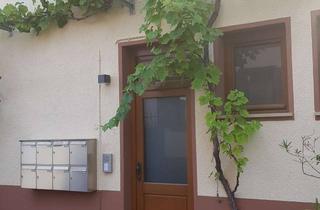 Wohnung mieten in 67550 Rheindürkheim, Wohnen bei der „Kuhkapelle“