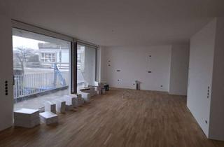 Wohnung mieten in 79227 Schallstadt, Geräumige 4,5-Zimmer Neubau-Wohnung in Schallstadt