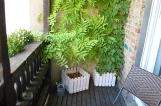 Wohnung mieten in Ulrich-Von-Hutten-Str. --, 67549 Innenstadt, kuschelige kleine 51 qm Einheit mit EBK und Balkon++ 1. OG+++