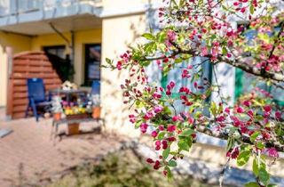 Wohnung mieten in Lange Straße 5f, 04451 Borsdorf, Charmante Ein-Zimmer-DG-Wohnung im "Blauen Engel" mit kleinem Balkon und TG-Stellplatz