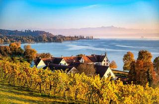 Gewerbeimmobilie kaufen in 88690 Uhldingen-Mühlhofen, Hotel in begehrter Lage am See