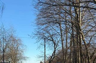 Einfamilienhaus kaufen in 86316 Friedberg, Charmantes Einfamilienhaus mit Potenzial: renovierungsbedürftig, aber sofort bewohnbar in Friedberg