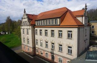 Haus kaufen in 04741 Roßwein, Provisionsfrei! Zeitlose Eleganz: Schlossanwesen als Denkmalinvestment