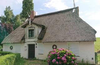 Haus kaufen in 25576 Brokdorf, Direkt an der Elbe! Schöne Reetdachkate am Elbdeich!