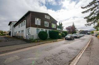 Geschäftslokal mieten in 38640 Goslar, Lagerfläche mit Laderampe in Goslar