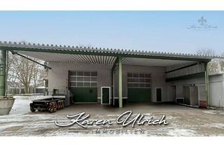 Gewerbeimmobilie mieten in 21376 Salzhausen, Vielseitig nutzbare Gewerbehallen – ca. 170 m², beheizt, große Tore, Freifläche in Salzhausen