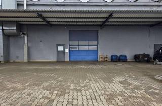 Büro zu mieten in In Den Lindeschen 22, 89129 Langenau, Optimaler Standort für Ihre KFZ-Werkstatt oder Ihr Lager – Halle mit Büro