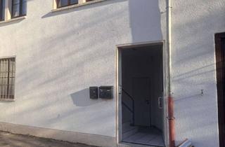 Gewerbeimmobilie kaufen in 89077 Weststadt, Lagerhalle auf zwei Ebenen zzgl. Kaltlager