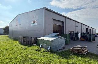 Büro zu mieten in Im Speyerer Tal, 76761 Rülzheim, ++ Werkstatt-/ Produktions-/Lagerfläche mit Büro, Sozialraum, Freifläche & 12 Kfz-Stellplätzen! ++