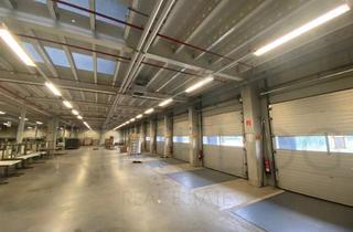 Gewerbeimmobilie kaufen in 63811 Stockstadt, Gewerbeliegenschaft zu verkaufen | ca. 14.000 m² Grundstück | Lager + Büro |