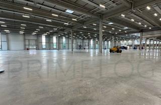 Gewerbeimmobilie kaufen in 63762 Großostheim, Gewerbeliegenschaft zu verkaufen | ca. 14.000 m² Grundstück | Lager + Büro |