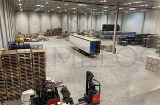 Büro zu mieten in 65479 Raunheim, Repräsentative Gewerbefläche | ca. 805 m² Lagerfläche + ca. 415 m² Büro | ebenerdig