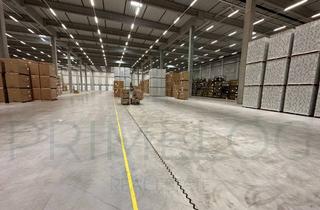 Büro zu mieten in 64653 Lorsch, Attraktive Logistikimmobilie | 6.300 m² Lagerfläche + Büro| teilbar | kurzfristig