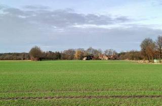 Grundstück zu kaufen in Holthausener Str. 53, 46342 Velen, 3,6 ha Ackerflächen in Holthausen zu verkaufen