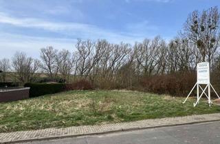 Grundstück zu kaufen in An Der Langen Wiese, 31196 Sehlem, Weitläufiges und sehr ansprechendes Baugrundstück in Sehlem/Harbansen zu verkaufen!