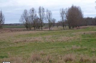 Grundstück zu kaufen in 39122 Beyendorf-Sohlen, AUKTION - Wasserlauf und Uferfläche der "Sülze" in Magdeburg