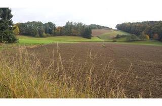 Grundstück zu kaufen in 85305 Jetzendorf, Schönes Baugrundstück Jetzendorf/Habertshausen