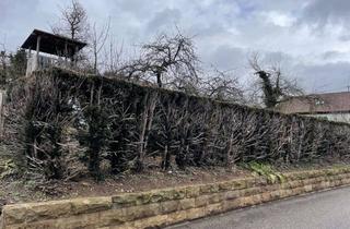 Grundstück zu kaufen in Otto-Linck-Straße 41, 74363 Güglingen, Ruhige Wohnlage am flach geneigten Südhang