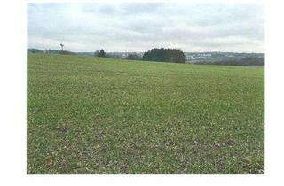 Gewerbeimmobilie kaufen in 42579 Heiligenhaus, Ackerfläche im Außenbereich von Heiligenhaus - Ortsteil Isenbügel - zu verkaufen!